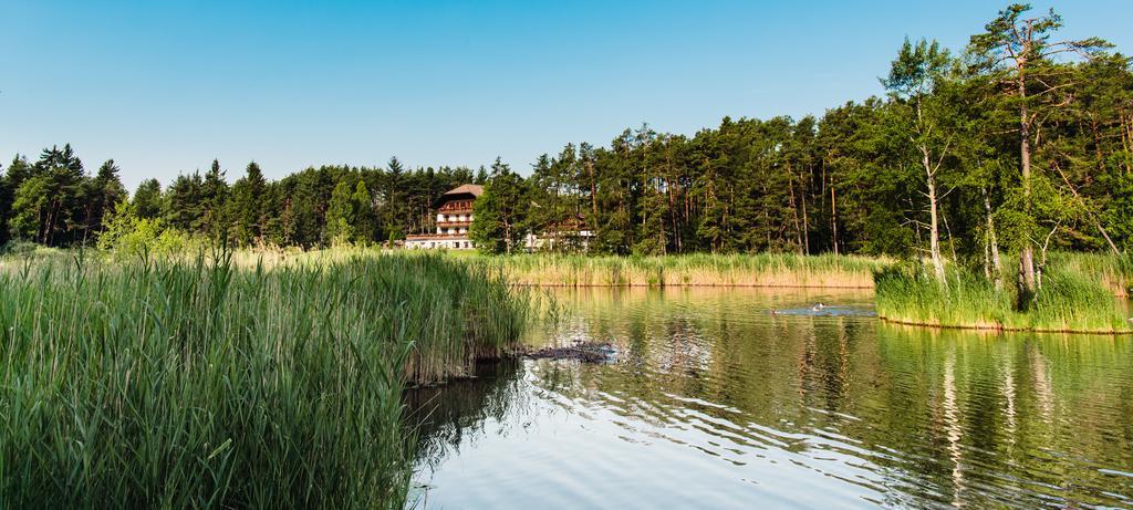 Hotel Waldsee 피에 외부 사진