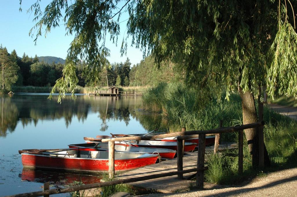 Hotel Waldsee 피에 외부 사진