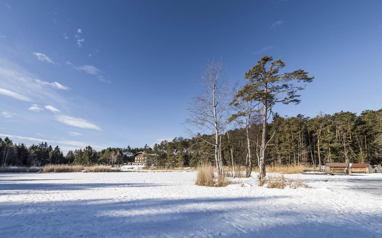 Hotel Waldsee 피에 외부 사진