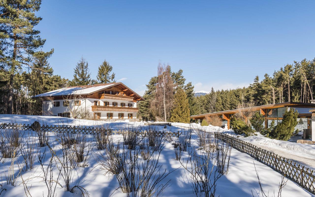 Hotel Waldsee 피에 외부 사진